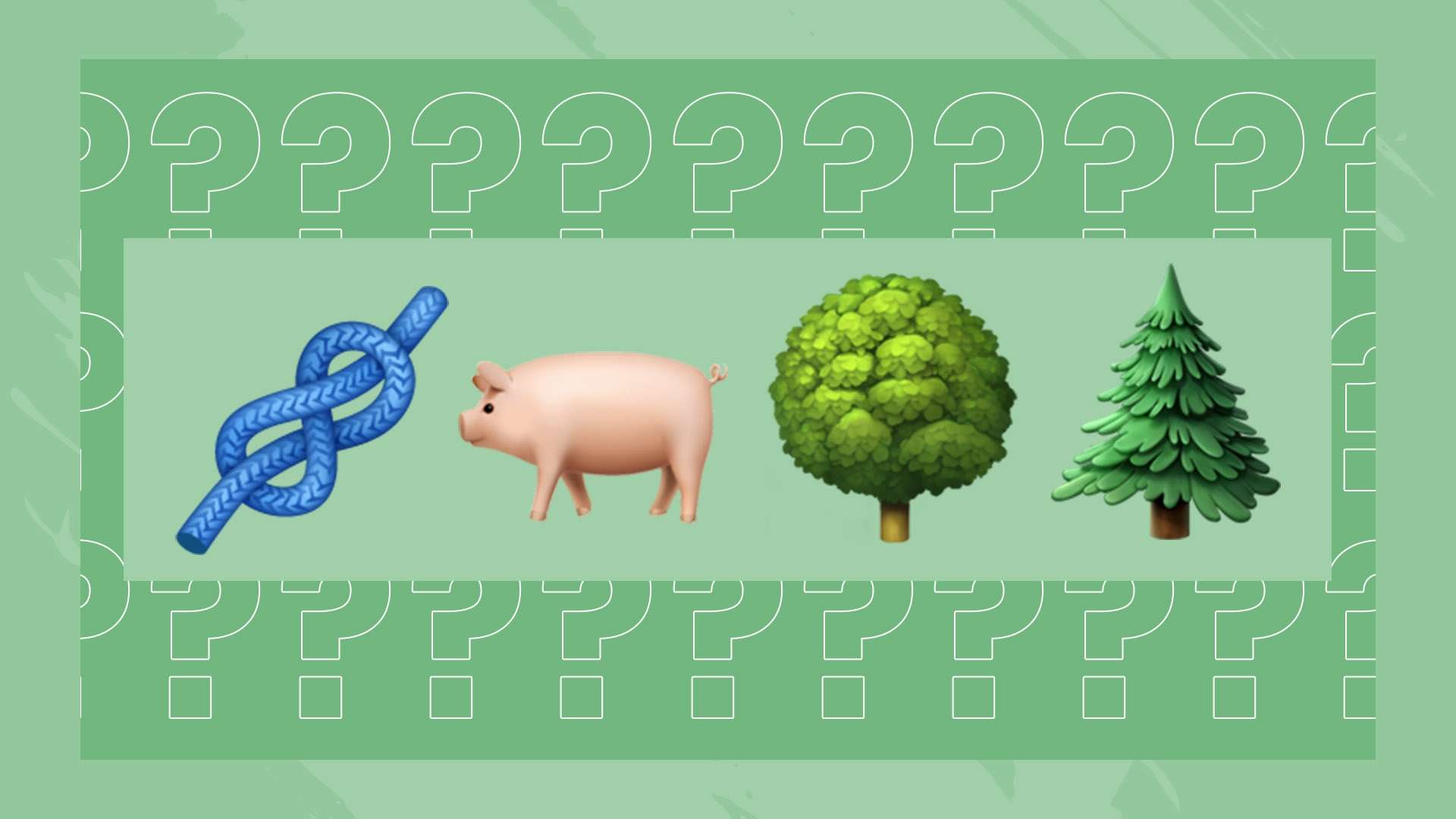 門中並不少 門中並不少