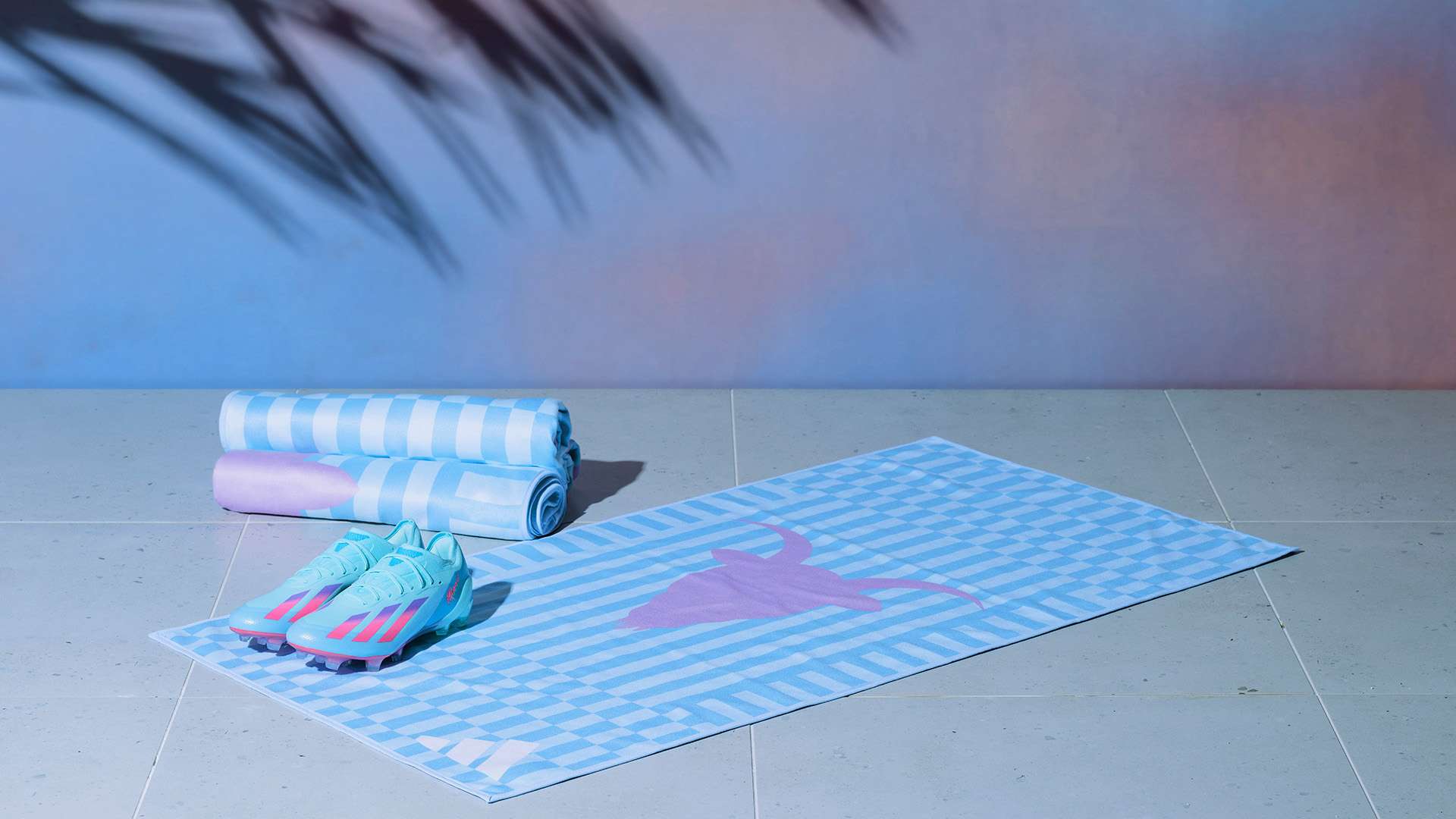 尽管早期表 尽管早期表